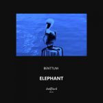 Benttum – Elephant