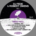 Robert Owens, DJ Fede – Need You