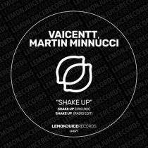 Martin Minnucci, Vaicentt – Shake Up