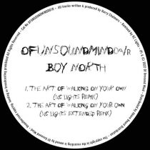 Boy North – The Art Of Walking On Your Own / Never Felt This Way