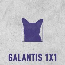 Galantis – 1×1 (Extended Mix)