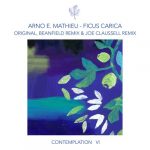 Arno E. Mathieu – Contemplation VI – Ficus Carica