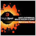 Dave Leatherman, Bruce Nolan – Not A Love Thang