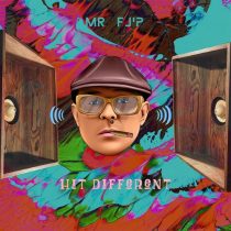 Mr. Flip – Hit Different