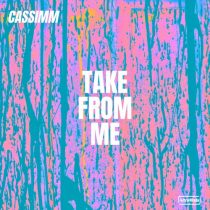 CASSIMM – Take From Me