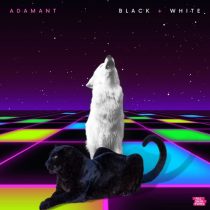 Adamant – Black And White