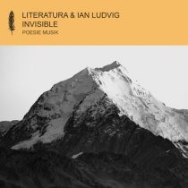 Ian Ludvig, Literatura – Invisible