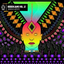 VA – Hidden Jams Vol. 12