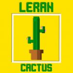 LERAN – Cactus