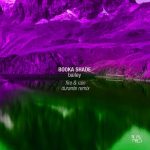 Booka Shade, Bailey – Fire & Rain (Durante Remix)