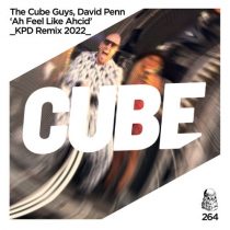 David Penn, The Cube Guys – Ah Feel Like Ahcid (KPD Remix 2022)
