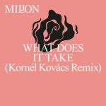Miljon – What Does It Take (Kornél Kovács Remix)