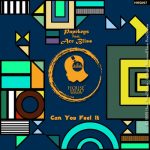 Ace Bliss, Papekeys – Can You Feel It