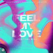 DubVision, Lucas & Steve, Joe Taylor – Feel My Love (feat. Joe Taylor) [Extended Festival Mix]