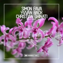 Simon Fava, Yvvan Back, Christian Ghinati – Salsa Shake