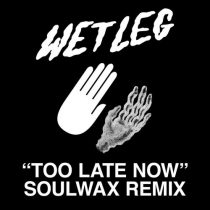 Wet Leg – Too Late Now – Soulwax Remix