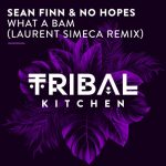 Sean Finn, No Hopes – What a Bam (Laurent Simeca Remix)