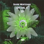 Davide Mentesana – Special X