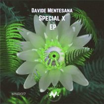 Davide Mentesana – Special X