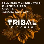 Sean Finn, Alegra Cole, Katie DiCicco – Missing (Alegra Cole Mix)