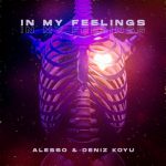 Deniz Koyu, Alesso – In My Feelings