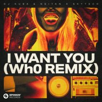 Skytech, Neitan, DJ Kuba – I Want You (Wh0’s Extended Festival Remix)
