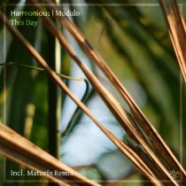 Modulo, harmonious – This Day