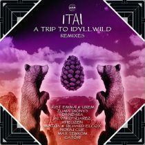 ITAI – A Trip to Idyllwild Remixes