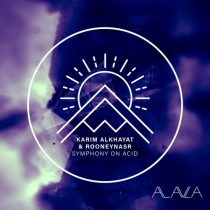 Karim Alkhayat, RooneyNasr – Symphony on Acid