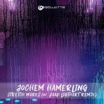 Jochem Hamerling – Stretch Marks