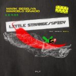 Marcelo Ignacio, Mark Beseliya – Little Strange