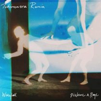Raye, Disclosure – Waterfall (TOKiMONSTA Remix)