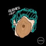 Kalden Bess – Cold EP