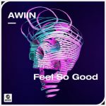 Awiin – Feel So Good (Extended Mix)