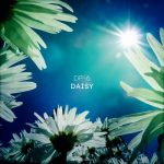 DP-6 – Daisy