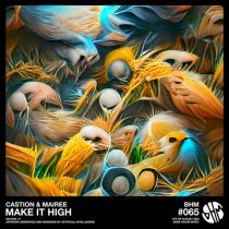 Mairee, Castion – Make It High (Extended Mix)