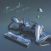 Tensnake – How Will I Know