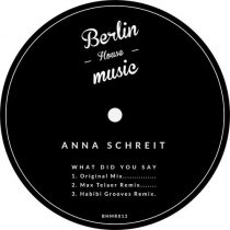 Anna Schreit – What Did You Say