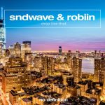 Robiin, Sndwave – Drop Like That