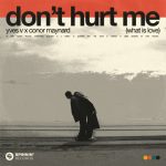 Yves V, Conor Maynard – Don’t Hurt Me (What Is Love) [Extended Mix]