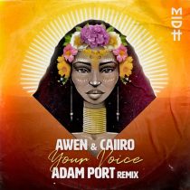 Awen, Caiiro – Your Voice (Adam Port Remix)