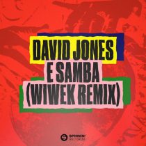 David Jones – E Samba (Wiwek Extended Remix)