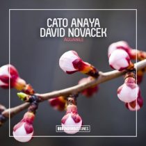 Cato Anaya, David Novacek – Aguanile