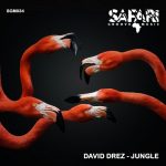 David Drez – Jungle