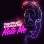 Sam Feldt, salem ilese – Hate Me
