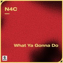 N4C – What Ya Gonna Do (Extended Mix)