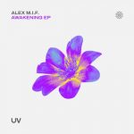 Alex M.I.F. – Awakening / Waterfall / Leaf Growth / Illuminate