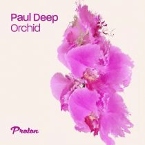 Paul Deep (AR) – Orchid