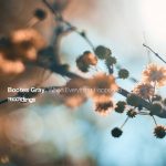Bootes Gray – When Everything Happened
