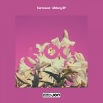 Kamosoul – Lifelong EP